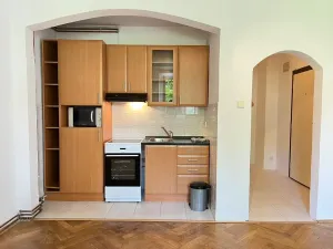 Pronájem bytu 1+kk, Brno, Botanická, 27 m2