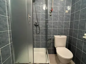 Pronájem bytu 1+kk, Brno, Botanická, 27 m2