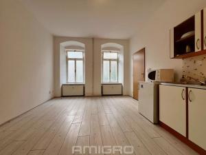 Pronájem bytu 1+kk, Brno, Pekařská, 27 m2