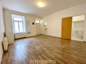 Pronájem bytu 1+kk, Brno, Pekařská, 30 m2