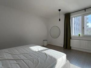 Pronájem bytu 1+kk, Brno, Reissigova, 42 m2