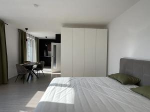Pronájem bytu 1+kk, Brno, Reissigova, 42 m2