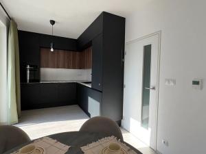 Pronájem bytu 1+kk, Brno, Reissigova, 42 m2