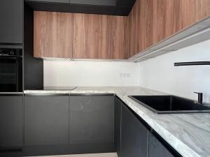 Pronájem bytu 1+kk, Brno, Reissigova, 42 m2