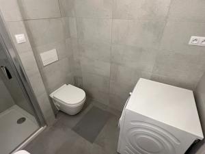 Pronájem bytu 1+kk, Brno, Reissigova, 42 m2