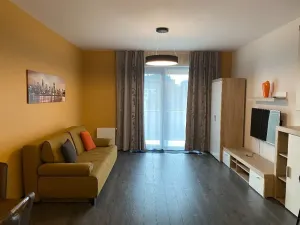 Pronájem bytu 2+kk, Praha - Karlín, U Mlýnského kanálu, 57 m2