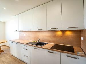 Pronájem bytu 4+kk, Slaný, Vikova, 84 m2