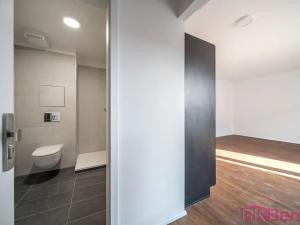 Prodej bytu 1+kk, Brno, Spolková, 43 m2