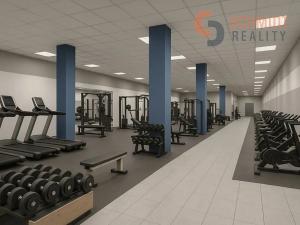 Pronájem kanceláře, Hodonín, Národní třída, 506 m2
