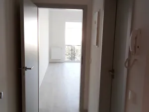 Pronájem bytu 1+kk, Olomouc, Wolkerova, 30 m2