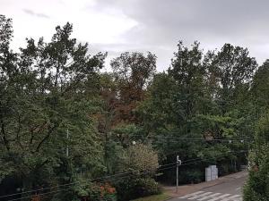 Pronájem bytu 2+1, Brno, Pionýrská, 53 m2