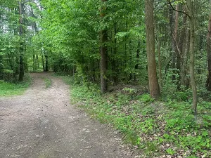 Prodej rodinného domu, Líšnice, 110 m2