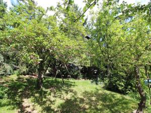 Prodej rodinného domu, Žatec, Chomutovská, 150 m2