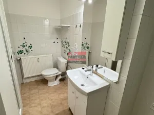 Prodej bytu 1+1, Sezimovo Ústí, Lipová, 46 m2