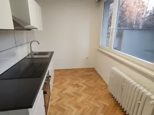 Pronájem bytu 1+1, Kolín, Dělnická, 32 m2