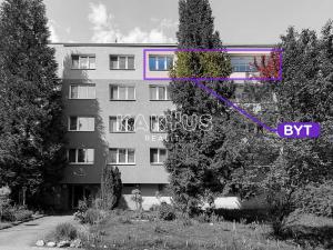 Pronájem bytu 3+kk, Ostrava, Karla Pokorného, 86 m2