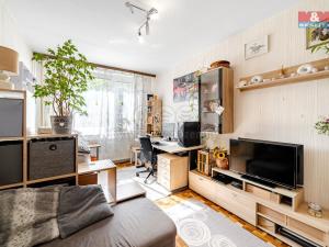 Prodej bytu 3+kk, Mělník, Sportovní, 66 m2