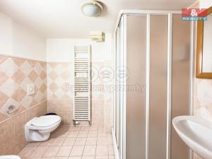 Prodej bytu 2+kk, Praha - Žižkov, Vlkova, 59 m2