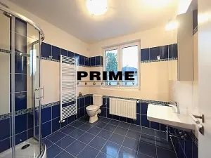 Pronájem rodinného domu, Průhonice, Pod Valem II., 350 m2