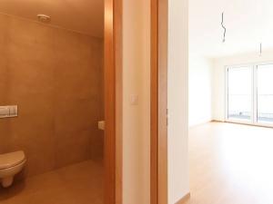 Pronájem bytu 1+kk, Praha - Hloubětín, Poděbradská, 32 m2