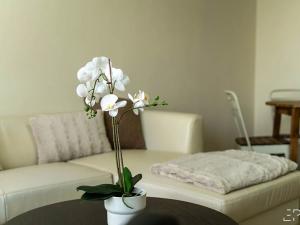 Pronájem bytu 2+kk, Praha - Bohnice, Poznaňská, 47 m2