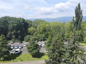 Prodej bytu 2+kk, Teplice, Trnovanská, 40 m2