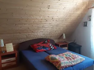 Prodej chalupy, Pacov, 260 m2
