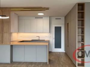 Pronájem bytu 4+kk, Praha - Vokovice, K Červenému vrchu, 117 m2