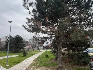 Pronájem bytu 4+kk, Praha - Vokovice, K Červenému vrchu, 117 m2