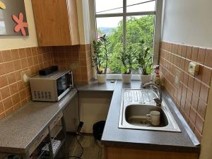 Prodej bytu 3+1, Nejdek, Osvětimská, 69 m2