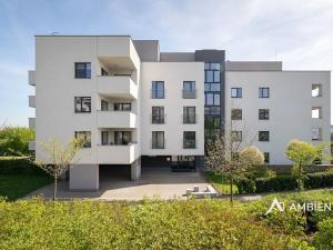 Prodej bytu 3+kk, Brno, Zaječí hora, 100 m2