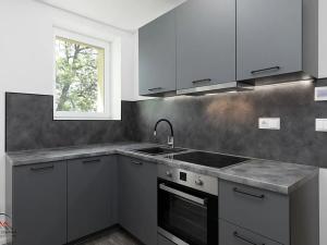 Pronájem bytu 1+kk, Ostrava, Křišťanova, 26 m2