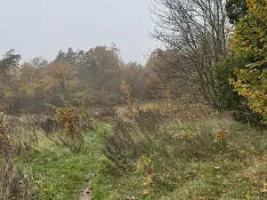 Prodej pozemku, Praha - Nové Město, 14747 m2