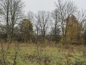 Prodej pozemku, Praha - Nové Město, 14747 m2