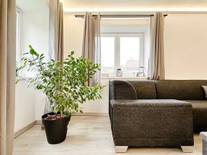 Prodej rodinného domu, Luže, 180 m2