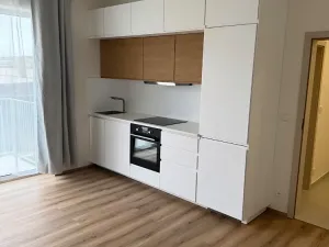 Pronájem bytu 1+kk, Brno, Křenová, 38 m2