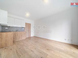 Pronájem bytu 1+kk, Třemošná, Školní, 32 m2