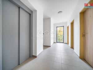 Pronájem bytu 1+kk, Třemošná, Školní, 32 m2