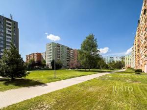 Pronájem bytu 1+1, České Budějovice, M. Horákové, 31 m2