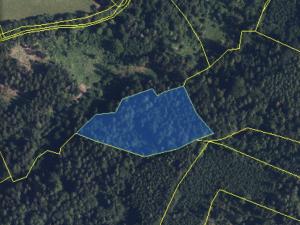 Prodej lesa, Zábřeh, 10749 m2