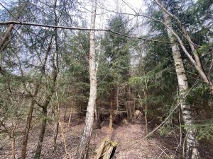 Prodej lesa, Pačejov - Strážovice, 2841 m2