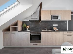Prodej bytu 1+kk, Brno, Nálepkova, 51 m2