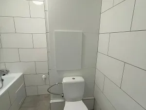 Pronájem bytu 2+kk, Litvínov, Kopistská, 40 m2