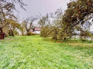 Prodej rodinného domu, Blížejov, Ke Hřbitovu, 254 m2