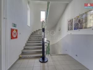 Pronájem kanceláře, Plzeň, Hálkova, 786 m2