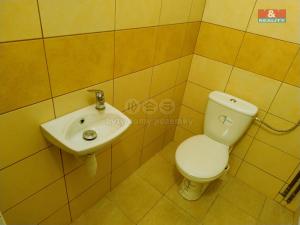 Pronájem obchodního prostoru, Kravaře, Opavská, 41 m2