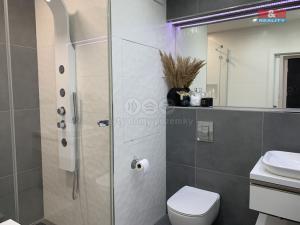 Pronájem bytu 2+kk, Ostrava - Poruba, Francouzská, 63 m2