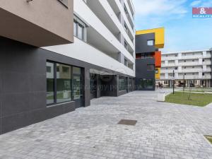 Pronájem obchodního prostoru, Pardubice, Smilova, 39 m2