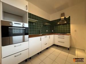 Pronájem bytu 2+1, Havířov, Dělnická, 50 m2