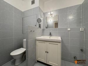 Pronájem bytu 2+1, Havířov, Dělnická, 50 m2